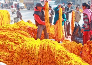भारतबाट धरानमा दुई लाख तयारी माला भित्र्याइयो