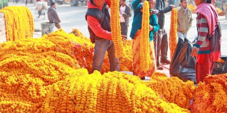 भारतबाट धरानमा दुई लाख तयारी माला भित्र्याइयो