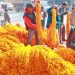 भारतबाट धरानमा दुई लाख तयारी माला भित्र्याइयो